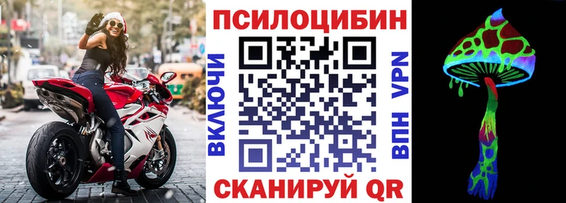 Псилоцибиновые грибы Psilocybine cubensis  Голицыно 